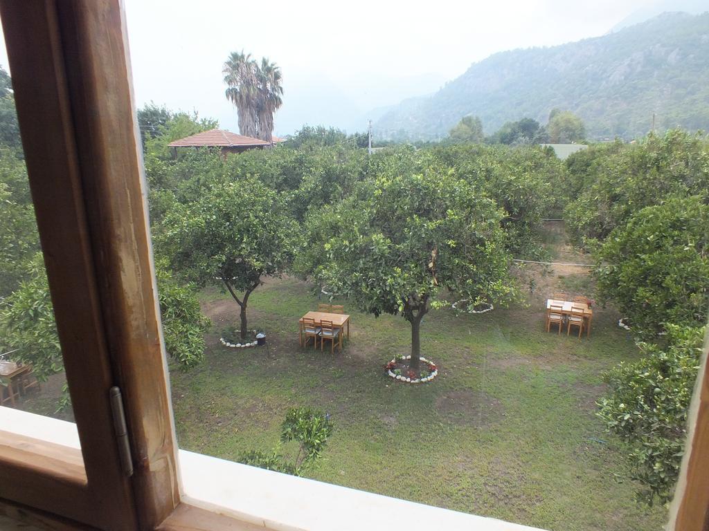 Teo Hotel&Pansion Çıralı Rum bild